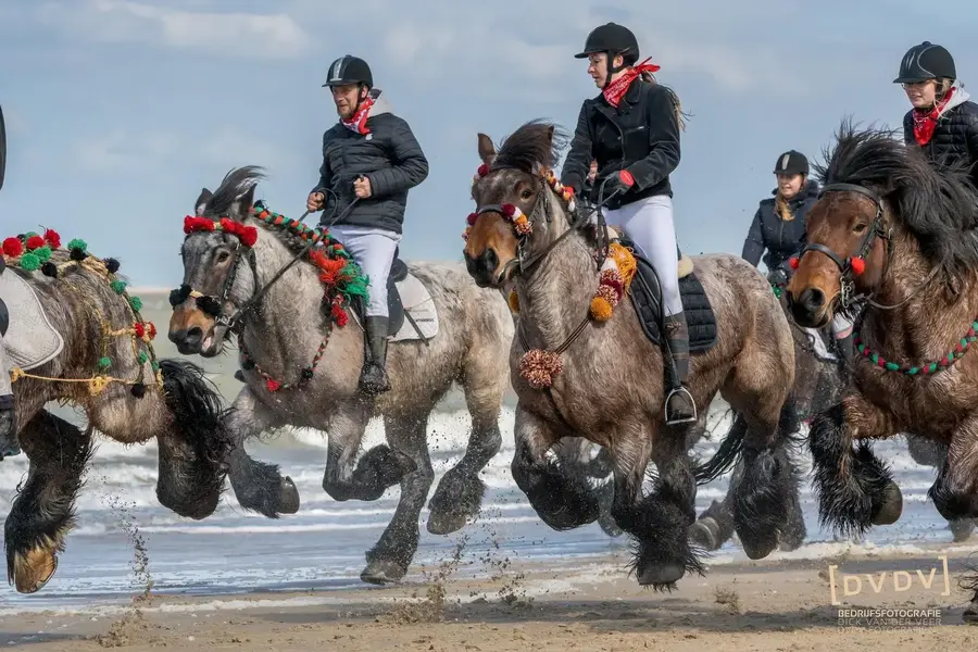 99c3a4e8 993e 4479 8fb4 1fc6d7052ab8 2857579764